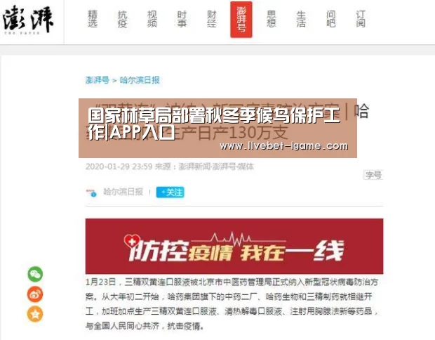 爱游戏体育官网
