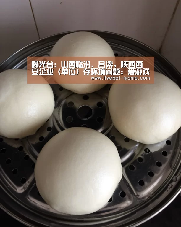 曝光台:山西临汾、吕梁,陕西西安企业(单位)存环境问题:爱游戏娱乐(图2) 爱游戏