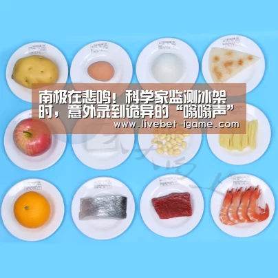 南极在悲鸣!科学家监测冰架时,意外录到诡异的“嗡嗡声”“爱游戏体育官网”(图1) 爱游戏娱乐