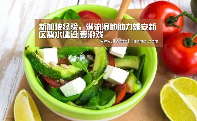 新加坡经验,潜流湿地助力雄安新区碧水建设|爱游戏(图1) 爱游戏