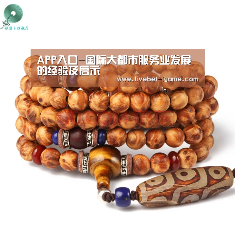 APP入口