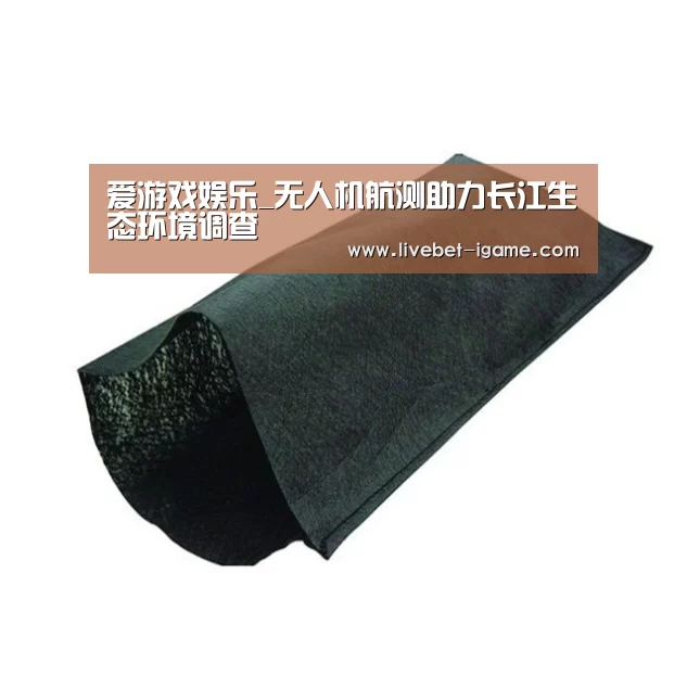 爱游戏