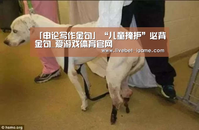爱游戏娱乐