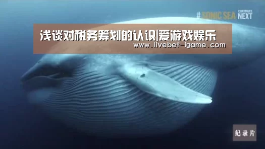 浅谈对税务筹划的认识|爱游戏娱乐(图1) 爱游戏娱乐
