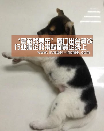 ‘爱游戏娱乐’厦门出台餐饮行业暖企政策鼓励餐企线上拓展(图2) 爱游戏体育官网