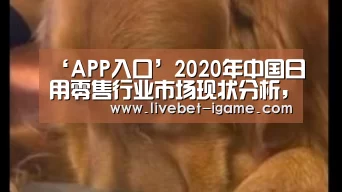 爱游戏