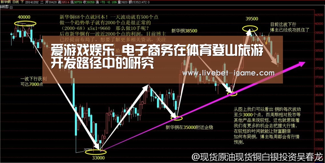 爱游戏娱乐_电子商务在体育登山旅游开发路径中的研究