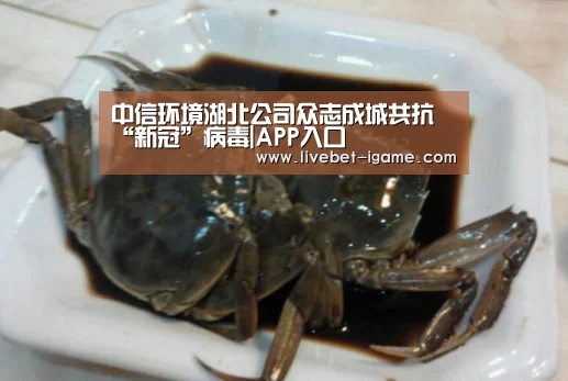 中信环境湖北公司众志成城共抗“新冠”病毒|APP入口(图4) APP入口