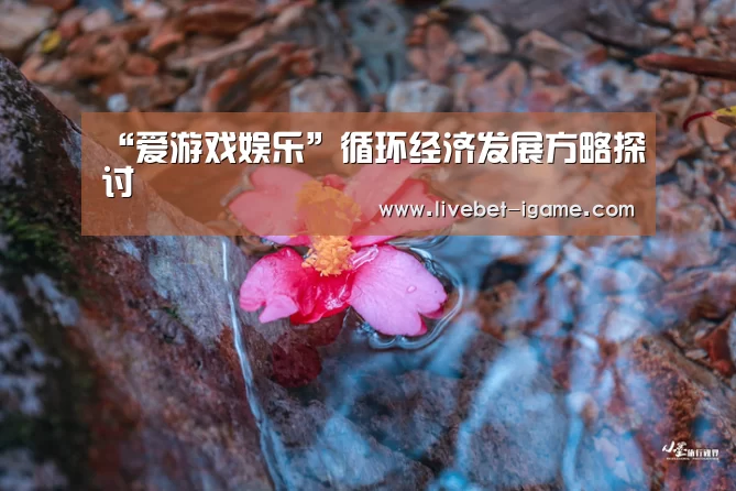 “爱游戏娱乐”循环经济发展方略探讨(图2) 爱游戏体育官网