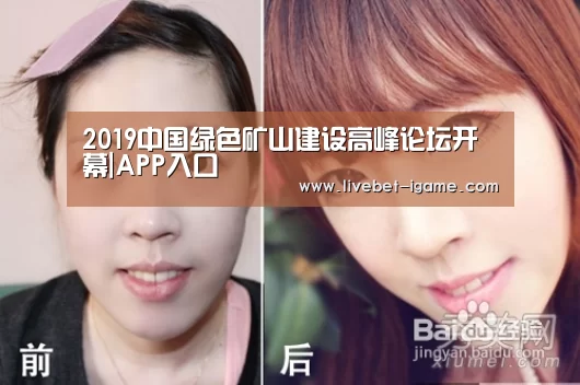 2019中国绿色矿山建设高峰论坛开幕|APP入口(图1) APP入口