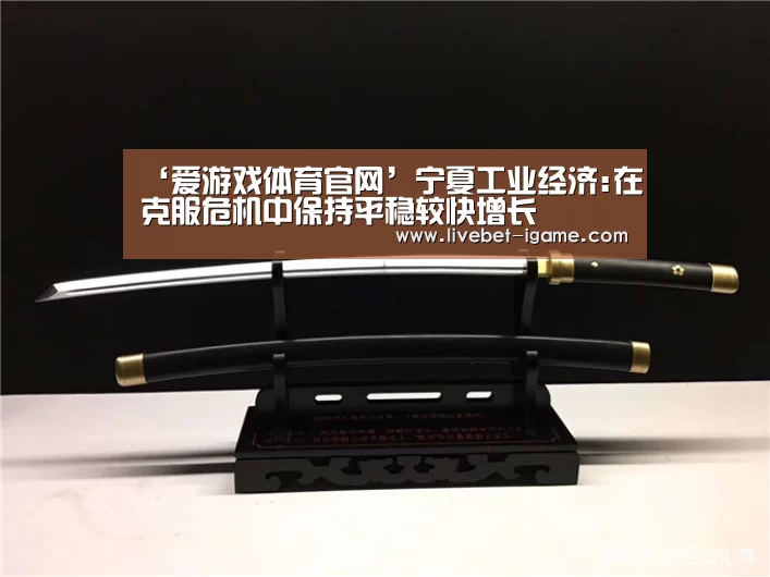 ‘爱游戏体育官网’宁夏工业经济:在克服危机中保持平稳较快增长(图1) 爱游戏体育官网