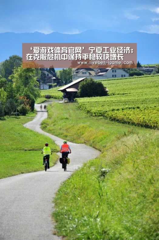‘爱游戏体育官网’宁夏工业经济:在克服危机中保持平稳较快增长(图2) 爱游戏