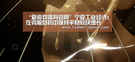 ‘爱游戏体育官网’宁夏工业经济:在克服危机中保持平稳较快增长(图3) 爱游戏体育官网