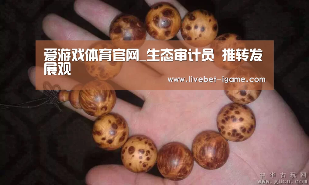 爱游戏体育官网_生态审计员 推转发展观(图4) 爱游戏体育官网