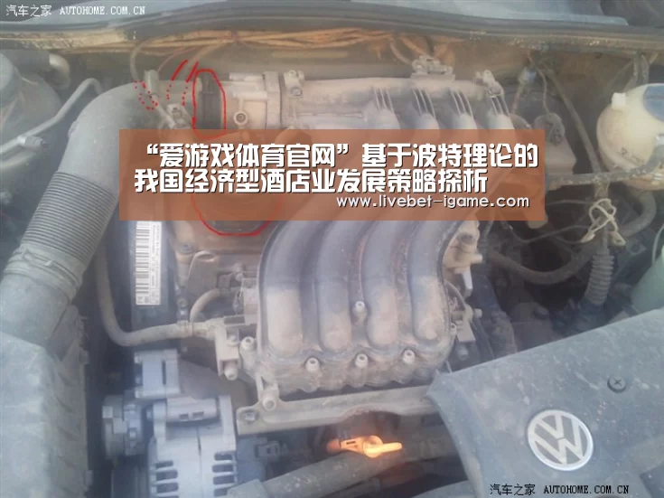 “爱游戏体育官网”基于波特理论的我国经济型酒店业发展策略探析(图2) 爱游戏娱乐