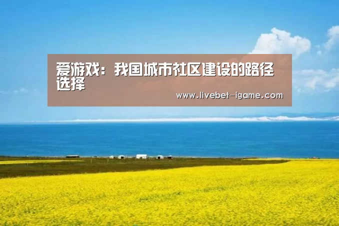 爱游戏:我国城市社区建设的路径选择(图2) 爱游戏娱乐