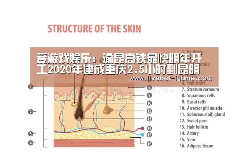 爱游戏娱乐:渝昆高铁最快明年开工2020年建成重庆2.5小时到昆明(图4) APP入口