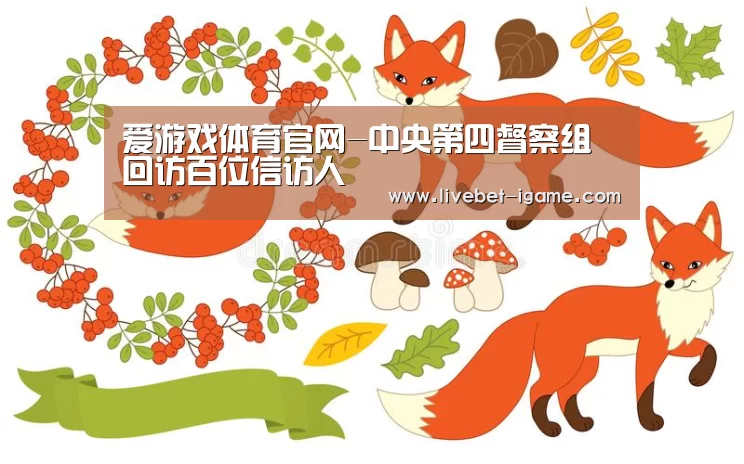 爱游戏体育官网-中央第四督察组回访百位信访人(图3) 爱游戏娱乐