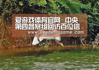 爱游戏体育官网-中央第四督察组回访百位信访人(图2) APP入口