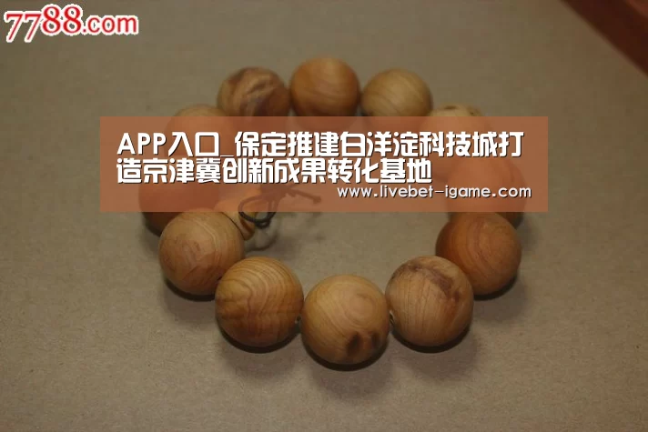 APP入口_保定推建白洋淀科技城打造京津冀创新成果转化基地(图3) 爱游戏