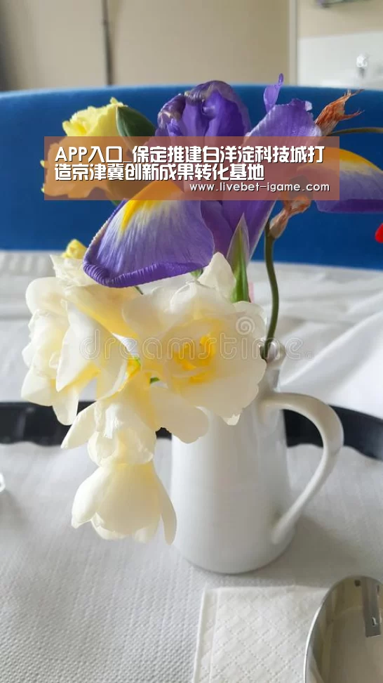 APP入口_保定推建白洋淀科技城打造京津冀创新成果转化基地(图4) 爱游戏娱乐